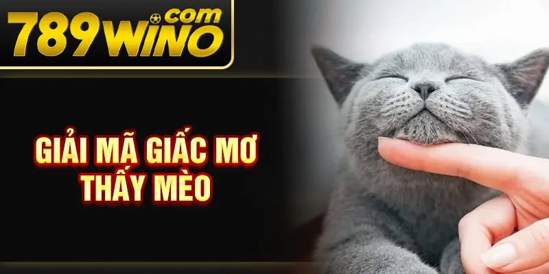 Giải mã giấc mơ thấy mèo