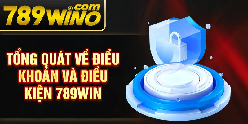 Tổng quát về Điều khoản và điều kiện 789Win